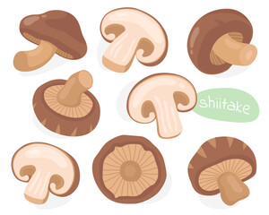 Shiitake. Asian mushrooms. Tasty mushrooms, ingredients. Half, piece and whole mushroom.