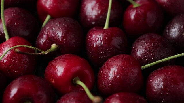 Cherry fruit, closeup of cherries fruit, closeup of a cherry fruit with drops 
