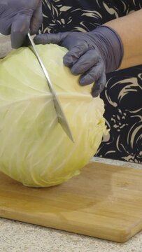 Woman's hands cut a head of cabbage into pieces for shredding into strips. Close-up