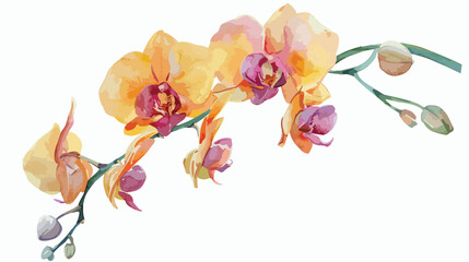 Orchid watercolor illustration Hand drawn tropical