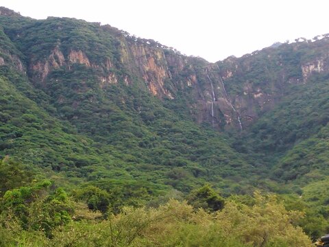 Naturaleza