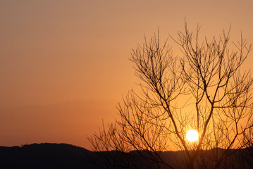 Naklejka premium 琵琶湖の夕焼け 夕陽 サンセット オレンジに染まる湖 滋賀県草津市