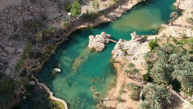 Aerial of amazing Wadi Bani Khalid oasis with turquoise water and palm trees in Oman.