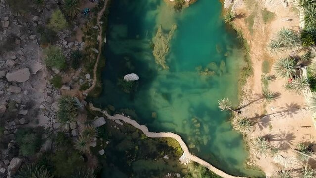 Aerial of beautiful Wadi Bani Khalid oasis with turquoise water, river and palm trees in the Sultanate of Oman.