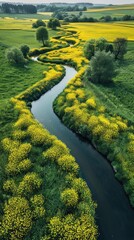 A long, winding river is surrounded by a field of yellow flowers