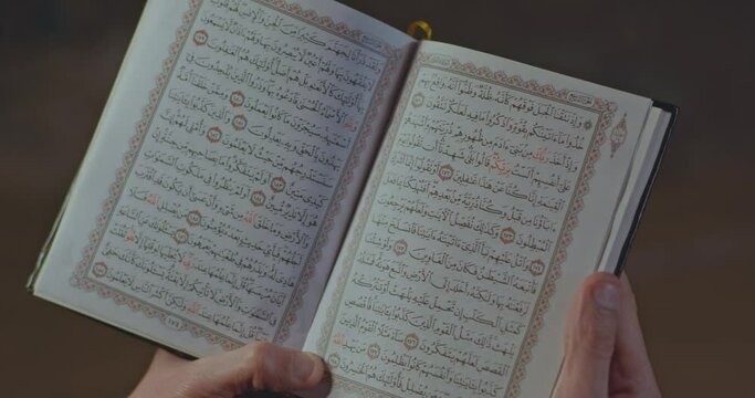 the holy Quran page's 