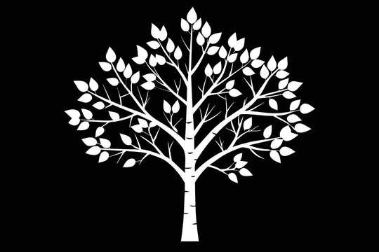 Quaking aspen  tree vector design