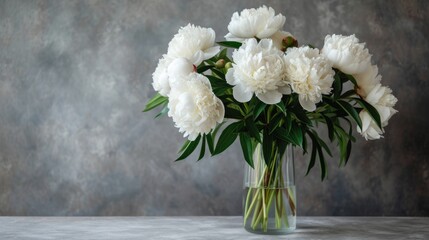 White peonies in a glass vase on a textured background.