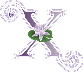 illustration of a flower