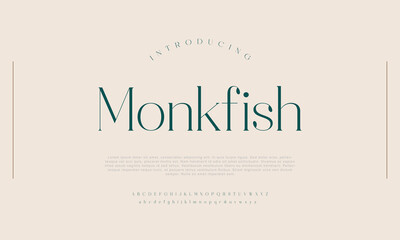 Monkfish Elegant alphabet letters font and number. Classic Lettering Minimal Fashion Designs. Typography modern serif fonts regular uppercase lowercase and numbers. vector illustration