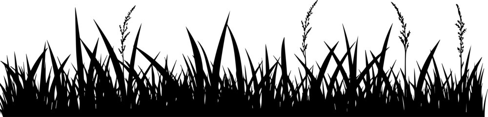 Black silhouette of grass border, seamless vector illustration - obrazy, fototapety, plakaty