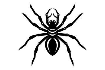 spider silhouette vector illustration