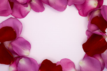 a heart shaped frame made from red rose petals on white background