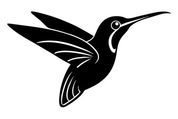 hummingbird silhouette vector illustration