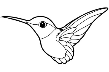 hummingbird silhouette vector illustration