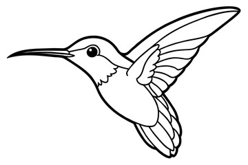 hummingbird silhouette vector illustration