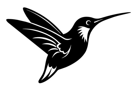 recommend clip art: hummingbird silhouette vector illustration