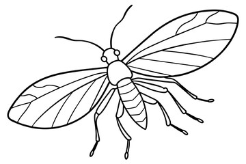 green lacewing silhouette vector illustration