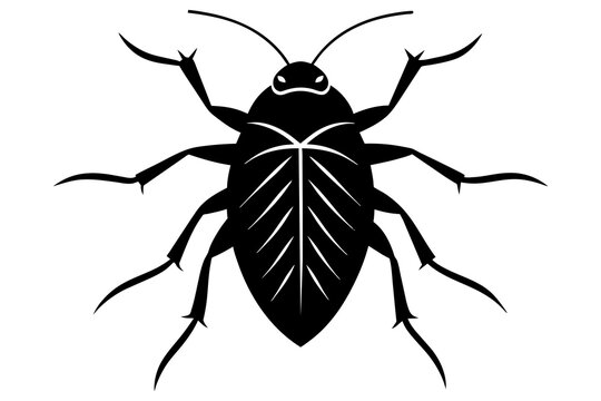 giant water bug silhouette vector illustration