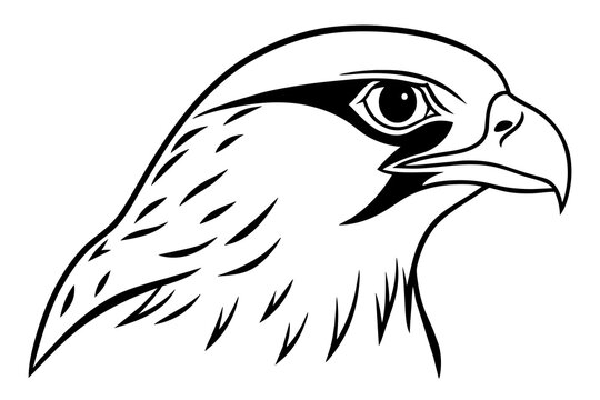 recommend clip art: falcon head silhouette vector illustration