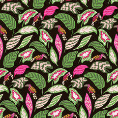Hand drawn leaves forming lush foliage giving a tropical funky jungle vibe in green,pink,black. Great for home decor, fabric, wallpaper, gift-wrap, stationery, and packaging design projects.