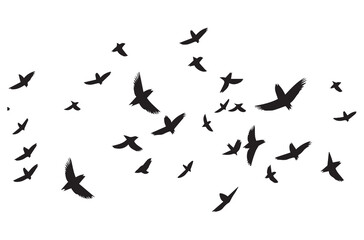 Birds set black silhouette isolated vector