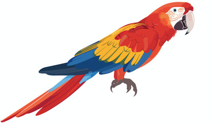 Parrot doodle flat vector isolated on white background
