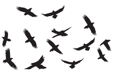 Flying birds black silhouettes set vector