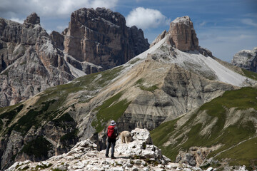 Stunning view of a tourist and his dog enjoying the view in the Tre Cime Di Lavaredo National park, Dolomites, Italy. - 775642615