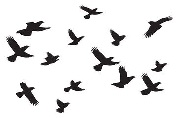 Flying birds black silhouettes set vector