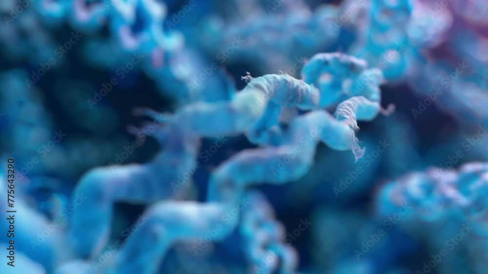 Poster a detailed view of a chromosome showing its condensed structure and the genes contained within that 