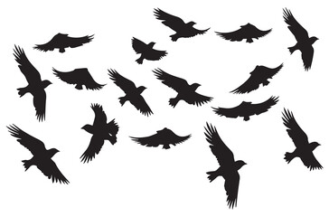 flying birds silhouette set flying birds icon set Set of flying birds silhouettes