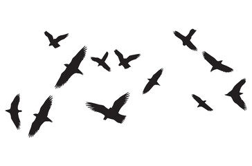 flying birds silhouette set flying birds icon set Set of flying birds silhouettes