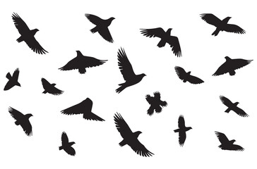 flying birds silhouette set flying birds icon set Set of flying birds silhouettes