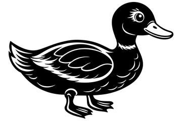 duck isolated on white background