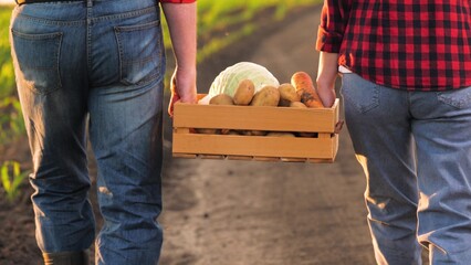 Man and woman farmer carrying wooden crate with fresh organic vegetables at field countryside back...