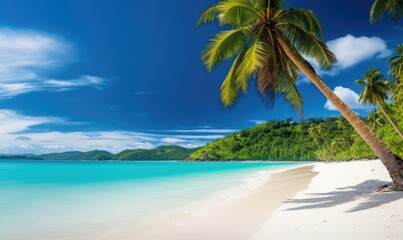 Beautiful white beach and amazing sea, lush green palm trees, pristine white sands. Perfect...