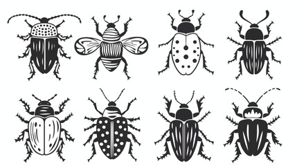 Hand drawn vector beetles. Black and white insects