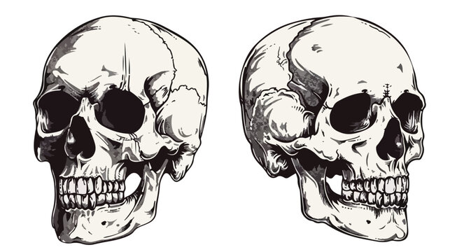 Hand drawn vintage human skull engraved style. flat vector