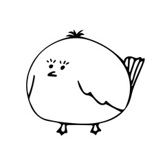 Cute fat bird for easter, farming design. Black line doodle chicken. Hand drawn clip art illustration in doodle style for poster, banner, print, greeting card. Isolated on white background.
