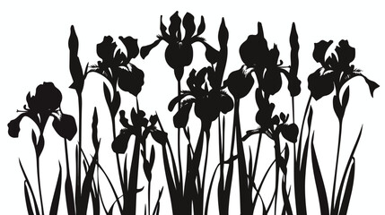 Silhouette bouquet of irises. Vector illustration.