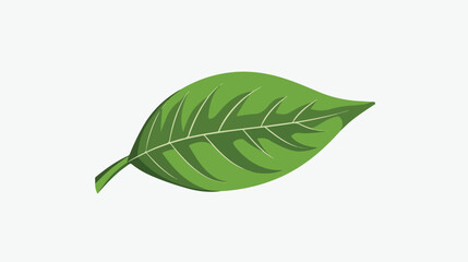 Leaf logo flat vector isolated on white background --