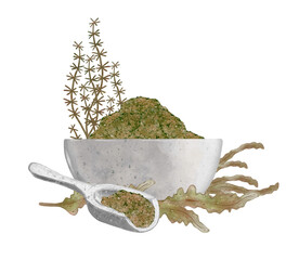 Beauty composition for spa treatments. Ceramic bowl with sea salt, spoon and seaweed bush. The concept of beauty and healthy lifestyle. Hand drawn illustration isolated on white background.