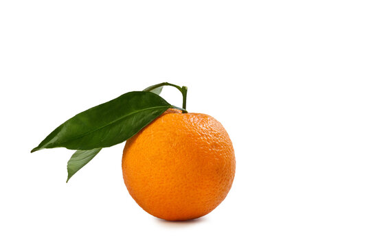 Orange from Sicily – "Tarocco" Cultivar – Isolated on White Background