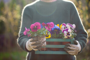 Person holding spring flowers