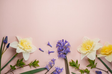 Spring flowers. Narcissus, muscari and hyacinths on a light background. Floral background. Happy...