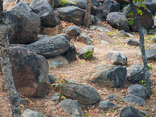 Rocks and grass in a shady park, close-up shot of a resting area
