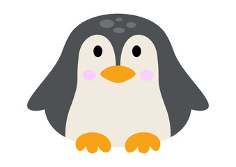 Adorable penguin isolated on white