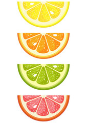 Set of four  fresh citrus fruit slices