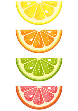 Set of four  fresh citrus fruit slices